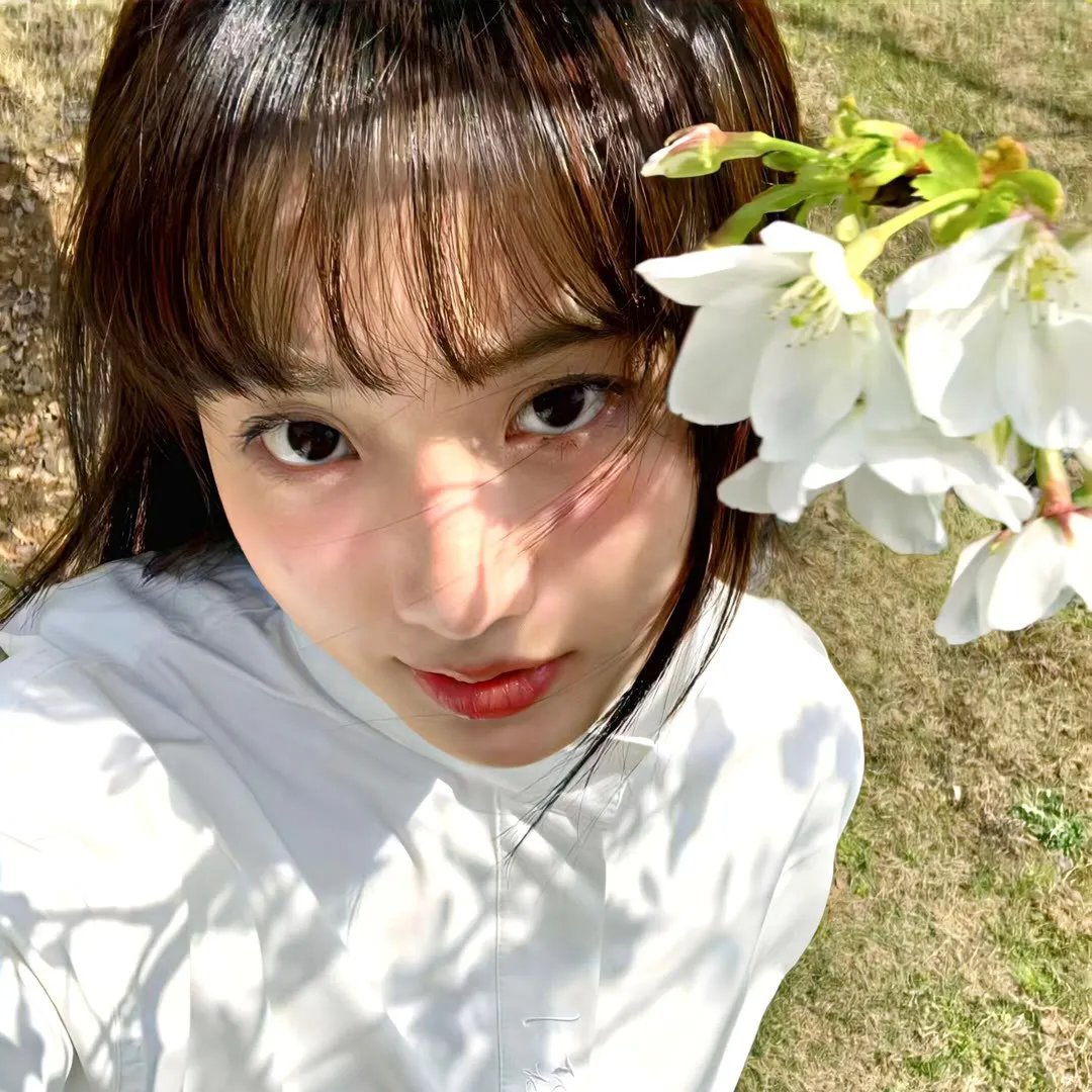 春满众香国